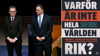 Varför vissa länder lyckas – och andra inte