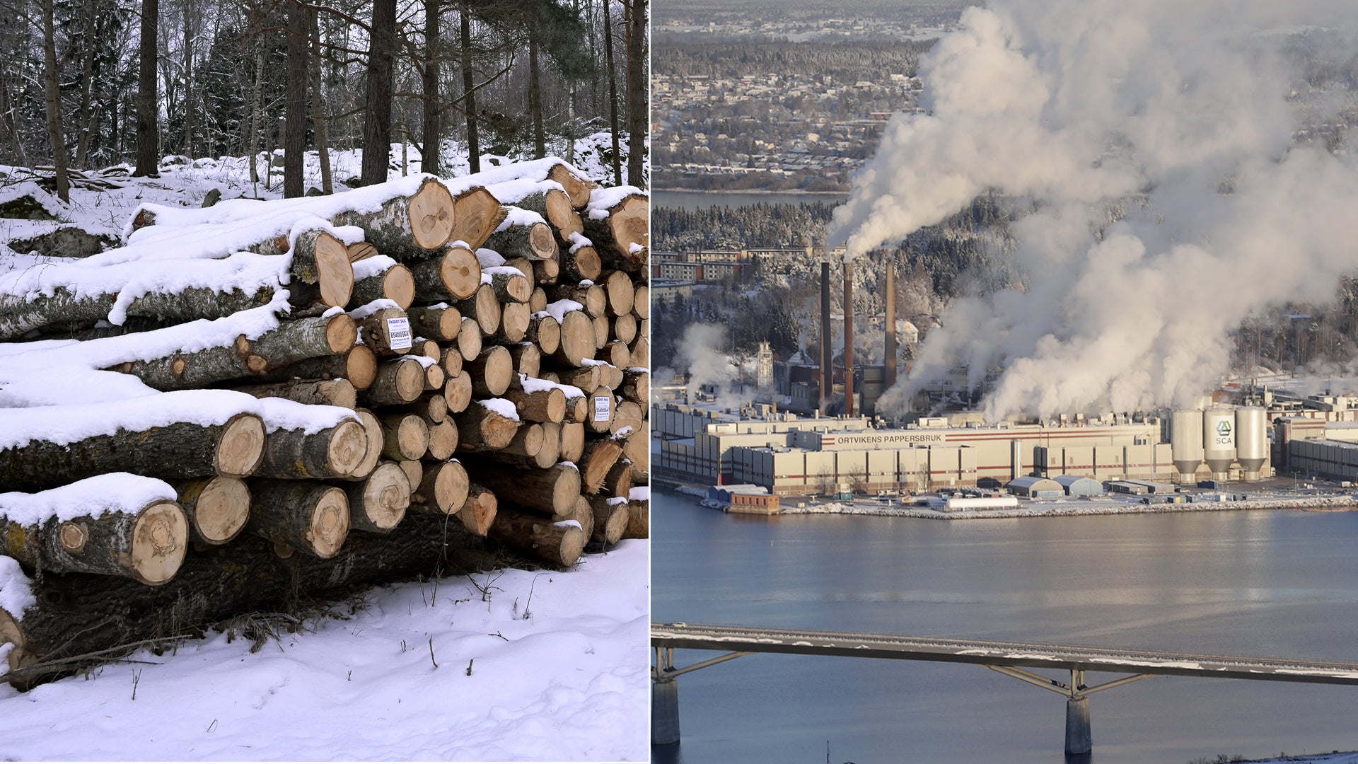 Rapport: Därför lossnar det inte för skogsbolagen