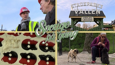 Jönköping – dit alla vägar bär