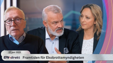 EBM-utredaren om regeringens besked: ”Inte riktigt seriöst”