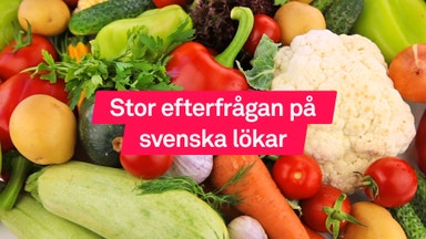 Svenskodlat slår rekord