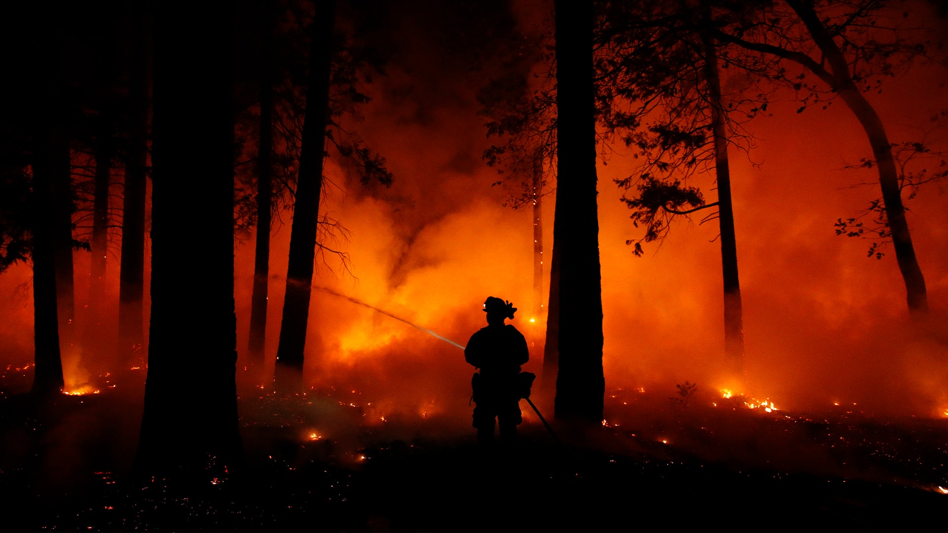 Glödande bränder i skogen i kalifornien.