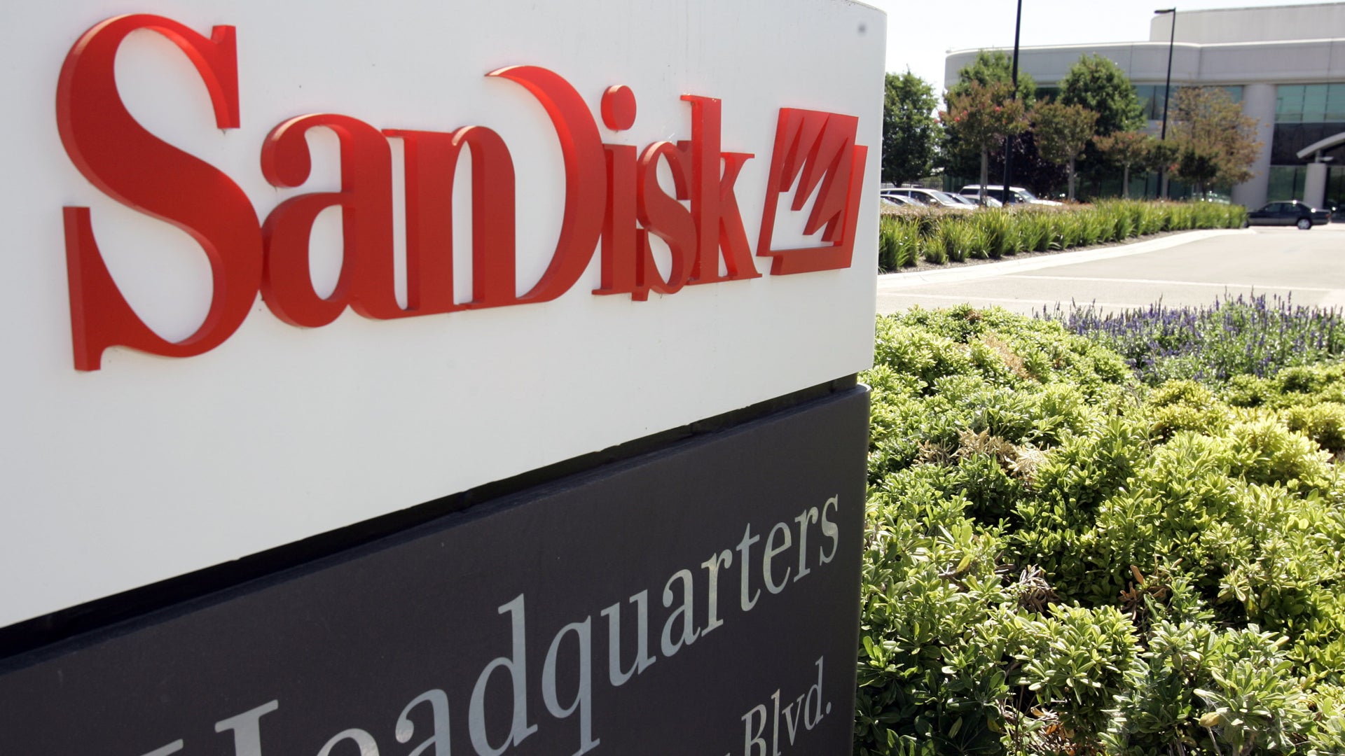 SanDisk-skylt på företagets huvudkontor med gröna växter i förgrunden.