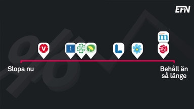 Ränteavdragets framtid