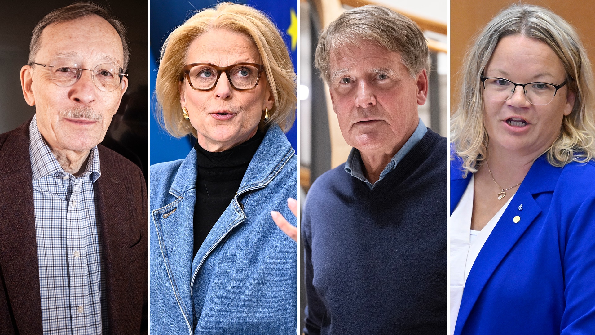 Fyra porträtt av personer: Lars Calmfors i brun tröja och glasögon, Elisabeth Svantesson i jeansväst och glasögon, Christer Gardell i mörkblå tröja, och Cecilia Rönn i blå blazer. Alla är fotograferade mot neutral bakgrund.