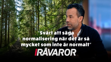 Skogsindustrin på väg tillbaka efter hård baksmälla