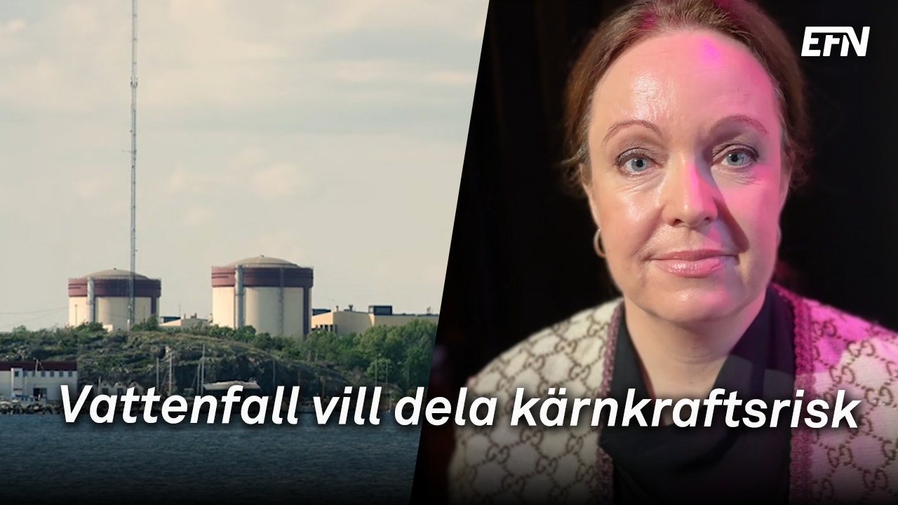 Ett montage med ett kärnkraftverk till vänster och Anna Borg till höger.