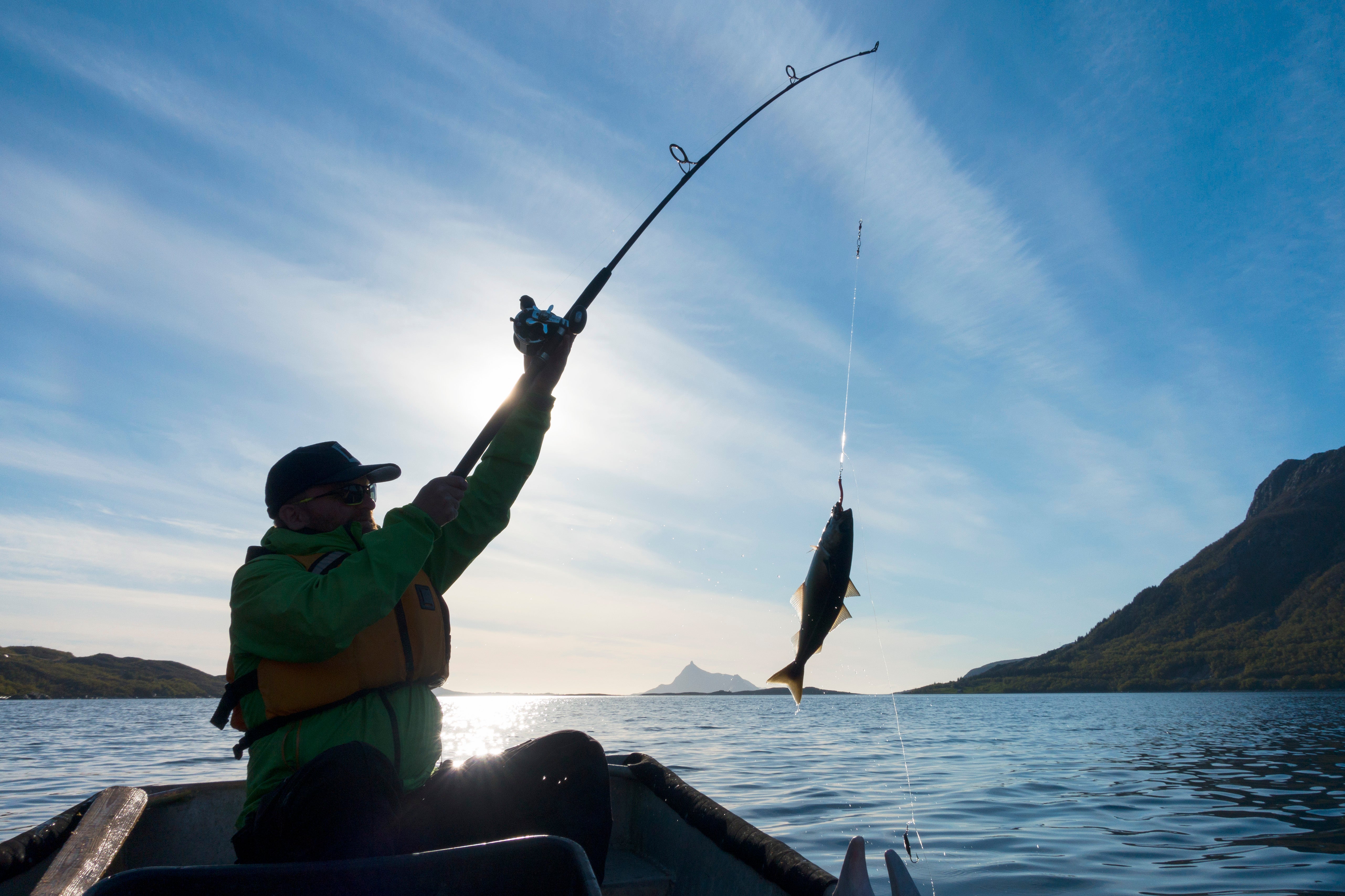 En person i en båt drar upp en fisk med ett fiskespö vid en fjord, i motljus under blå himmel.