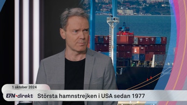 Niklas Ekdal: Hamnstrejken kan elda på inflationen