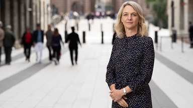 Kommuner la in veto för landsbaserad vindkraft – nio av tio gånger