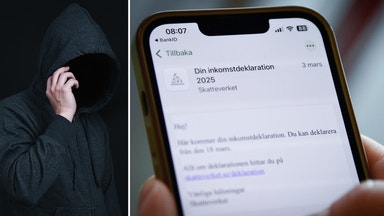 Deklarationen är här – och bedragarna likaså