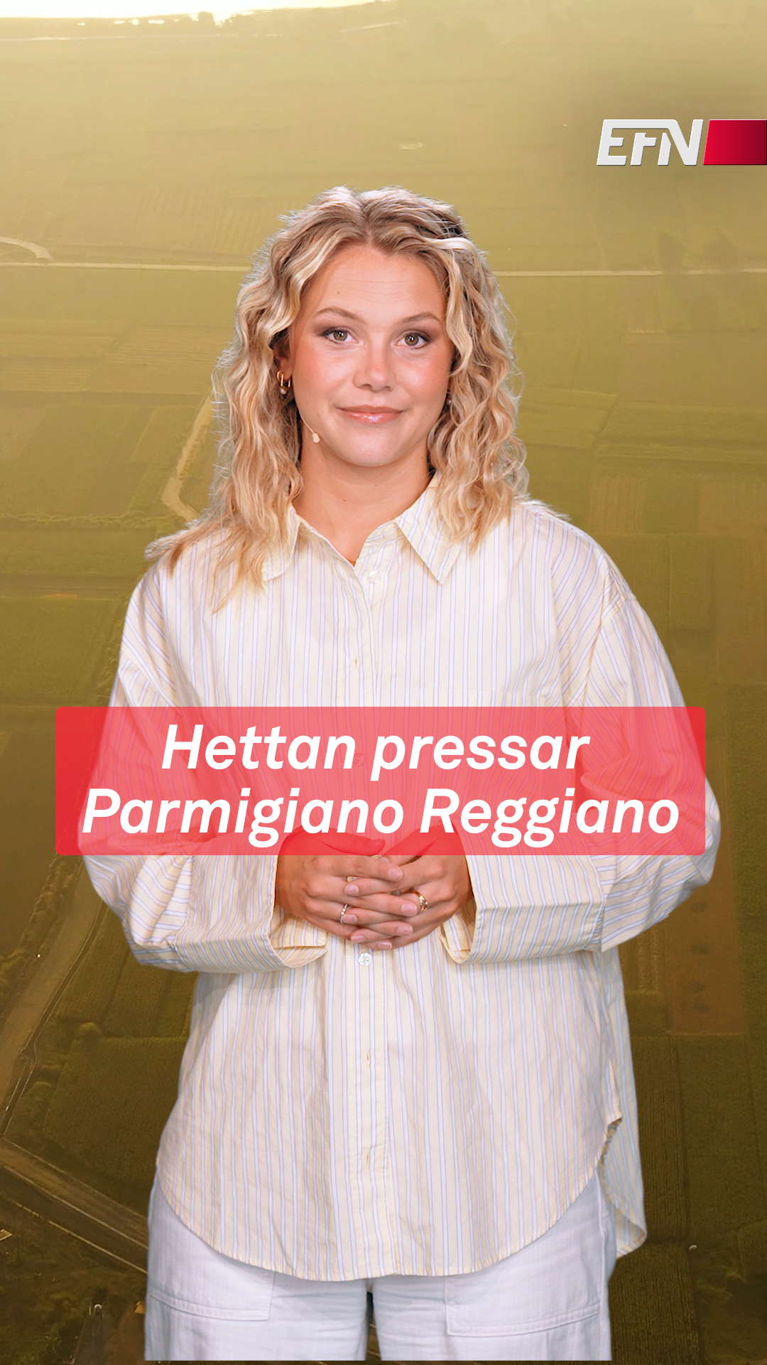 Parmigiano