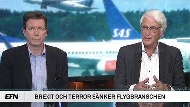 Flygexpert: Kinesisk köpare hade varit bra för SAS