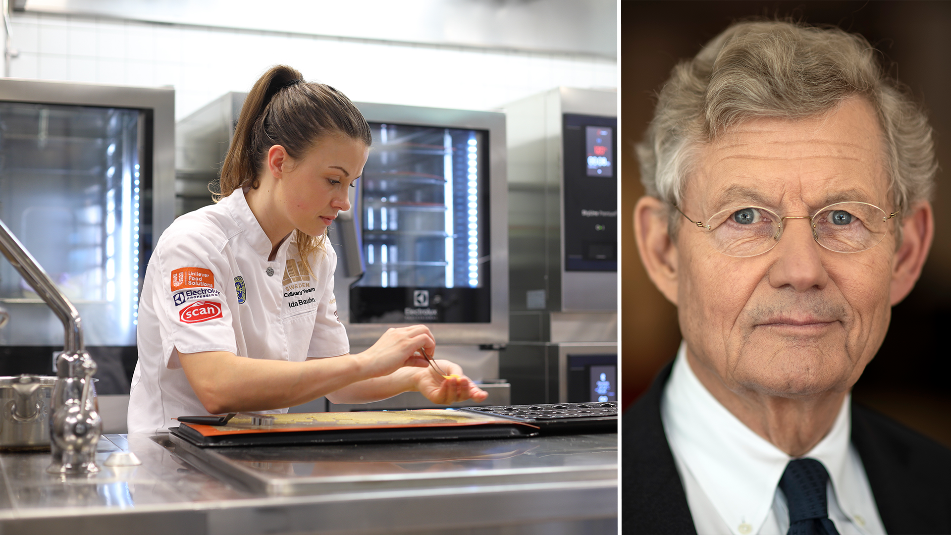 Jacob Wallenberg. Electrolux Professional.