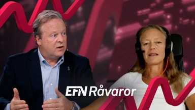 Skog i motvind - är hela branschen hotad?