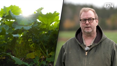 Ännu en dålig skörd men kolkrediter ny inkomstkälla för bönderna