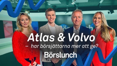 ”Ett läskigt cykliskt bolag”