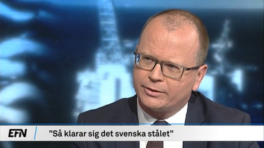 EFN Råvaror: Urstark comeback för skogen