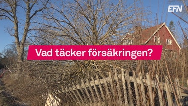 Det här gäller vid stormskador