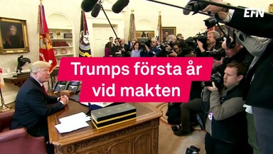 Så blev Trumps första år som president