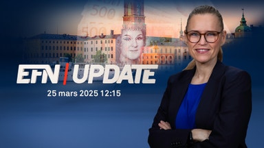 EFN Update 12.15: Starkare krona leder till lägre priser