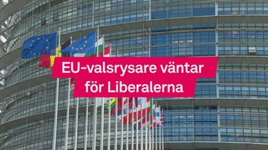 Valrysare väntar för Liberalerna