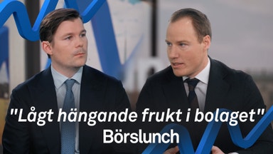 Sektorn som står emot tullarna