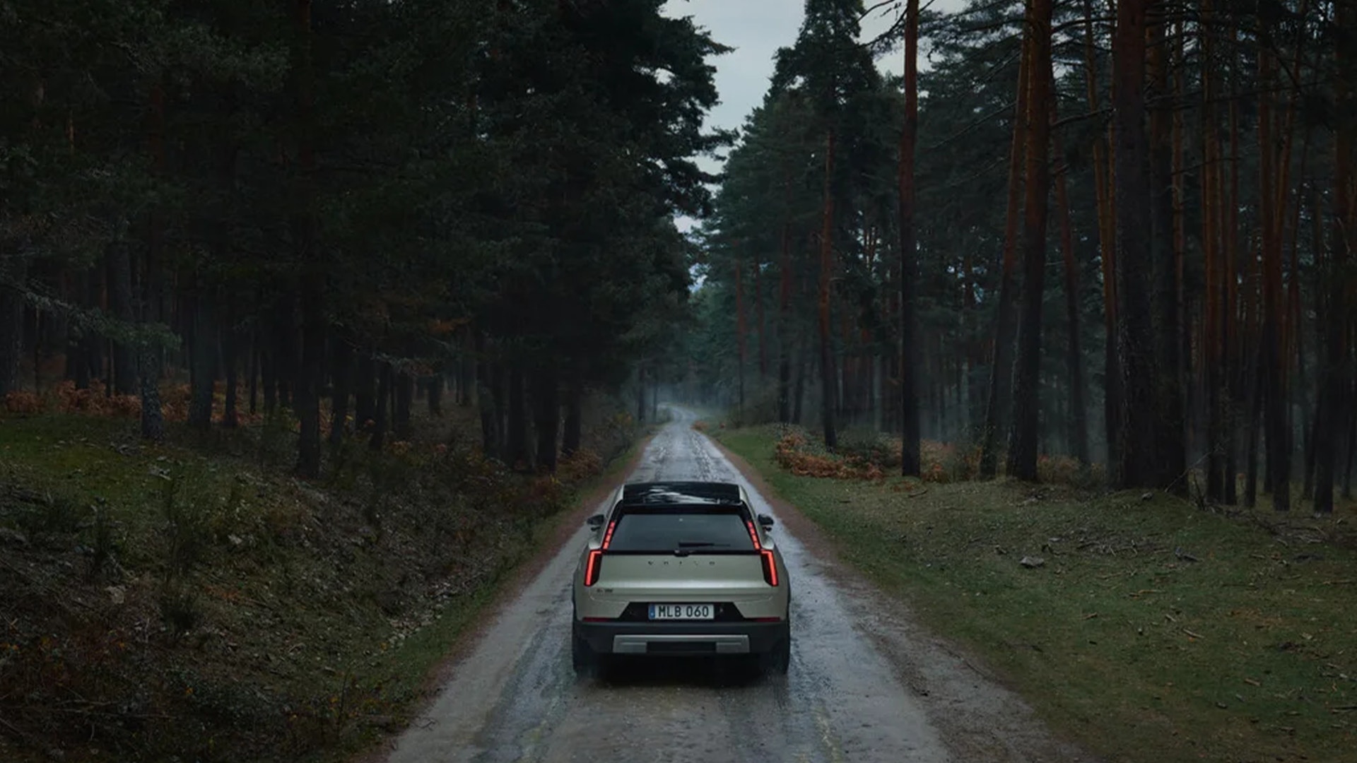 En Volvo-bil kör på en grusväg genom en tät skog med höga träd på båda sidorna.