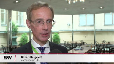 Chefekonom varnar för svensk tvärnit