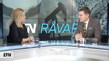 Detta styr metallpriserna i år