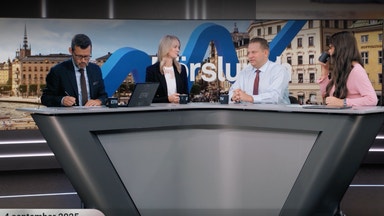 Experten: Överdriven oro för tullar