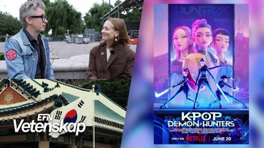 Kultur som exportvara – men hur mår Sydkorea?