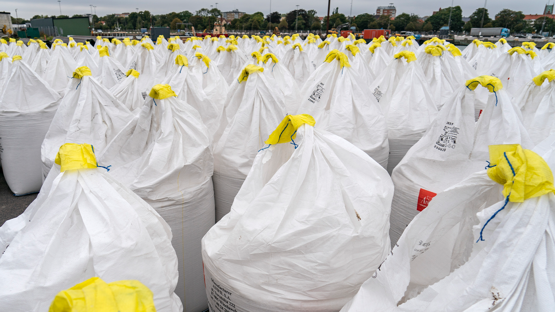 Många vita säckar med gula snören uppradade på ett fält.