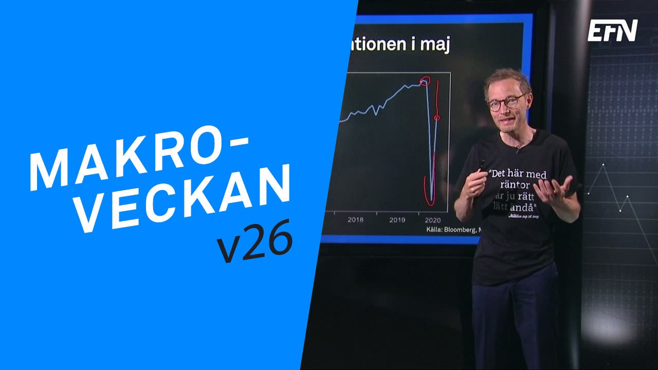 Allting studsar utom svensk arbetsmarknad
