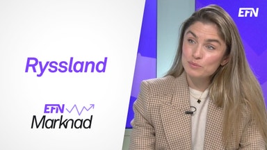 Den ryska techsektorn underskattad