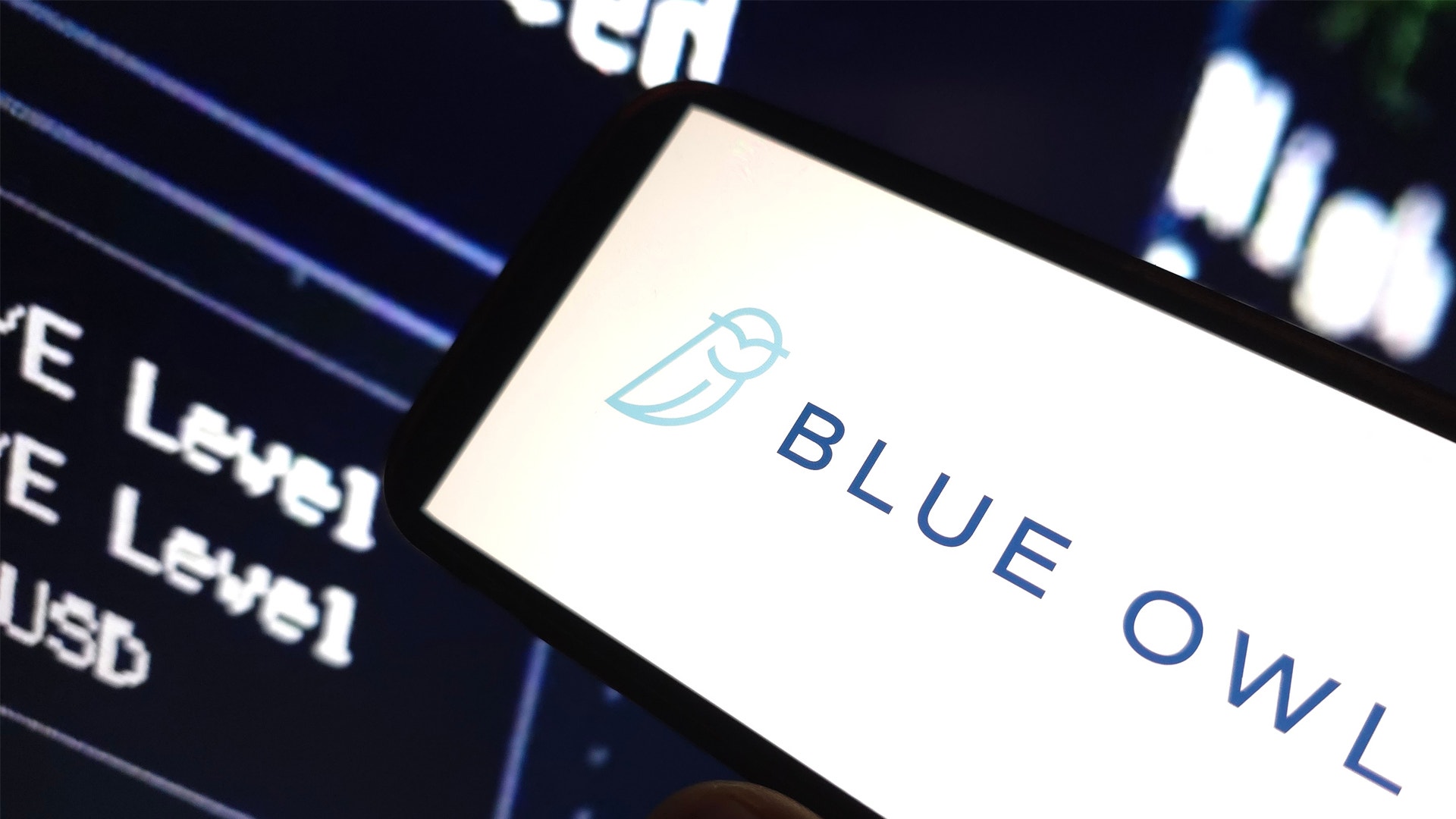 Närbild av Blue Owl-logotyp på vit bakgrund