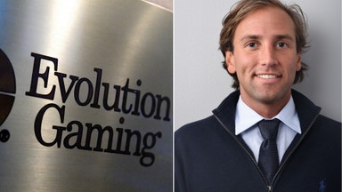 Experterna om Evolutions rapport