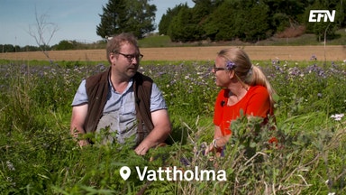 Skörden en vinstlott