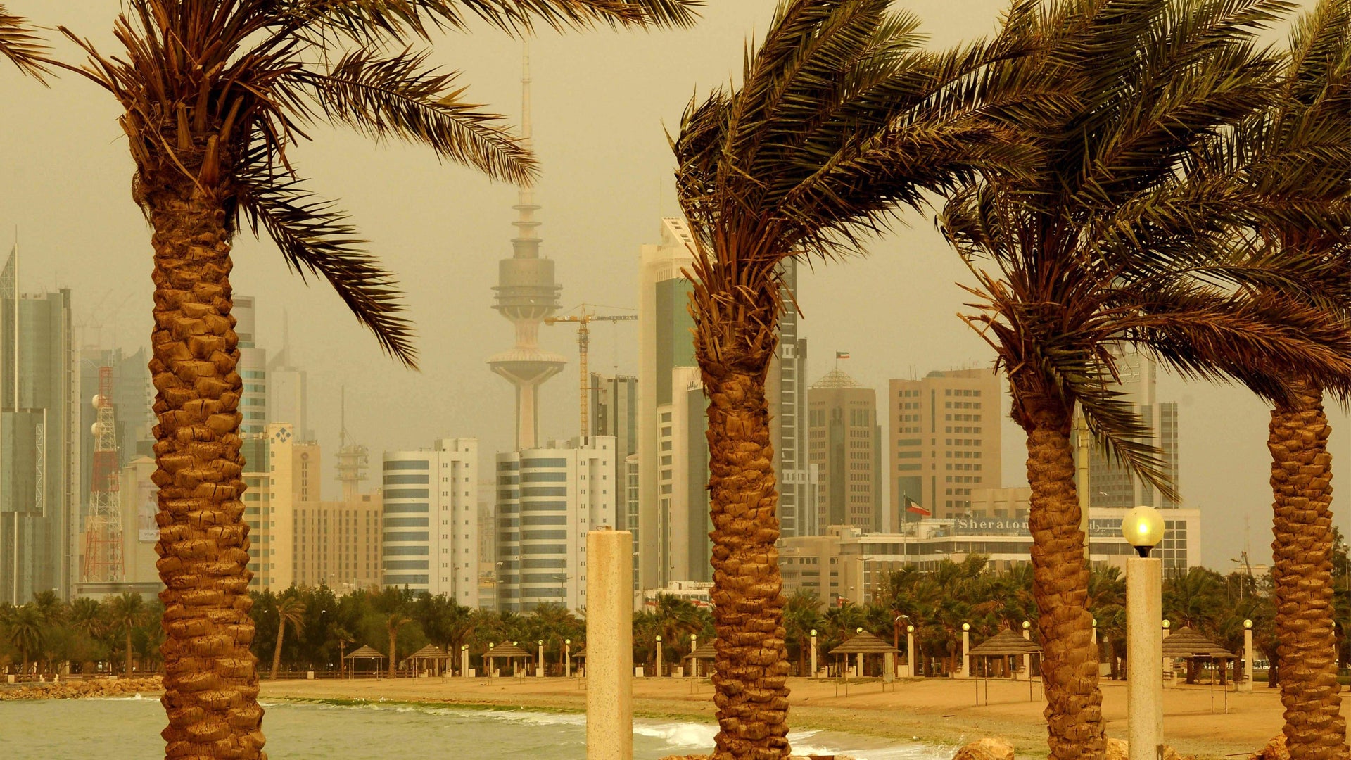 Stadsvy med moderna höghus och palmträd i förgrunden under dimmig himmel
