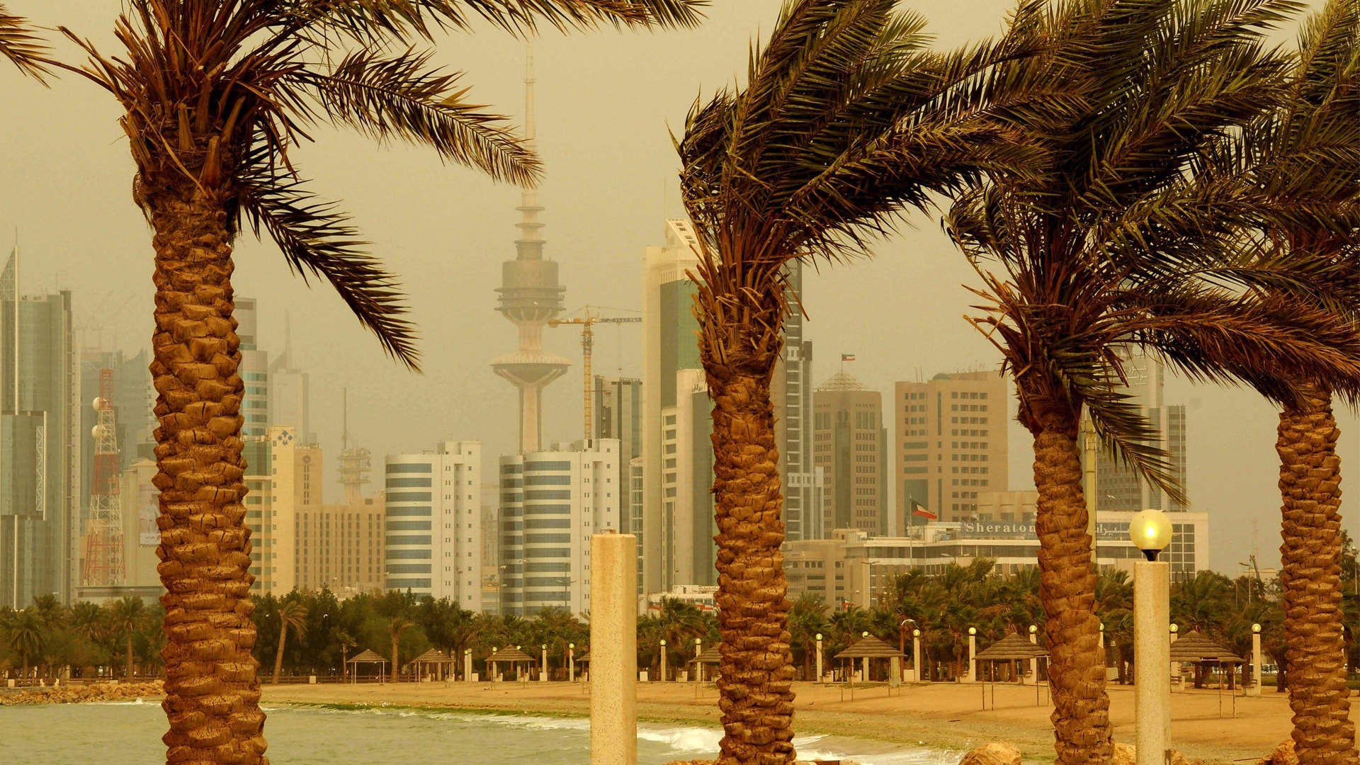Stadsvy med moderna höghus och palmträd i förgrunden under dimmig himmel