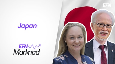 Ambassadörens och förvaltarens japanska aktietips
