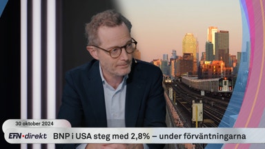 Chefsstrategen om svensk ekonomi: "Näringslivet tar inte stafettpinnen"