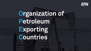 Så funkar Opec