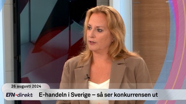 Svensk Handels chefsekonom: "Vi hade behövt tidigare räntesänkningar”