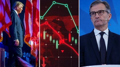 Sänkt ränta och USA-val – här är veckans vinnare
