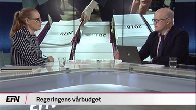 "Viktiga satsningar saknas i budgeten"