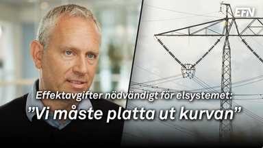 Energiexperten: Därför är effektavgifter ett nödvändigt ont