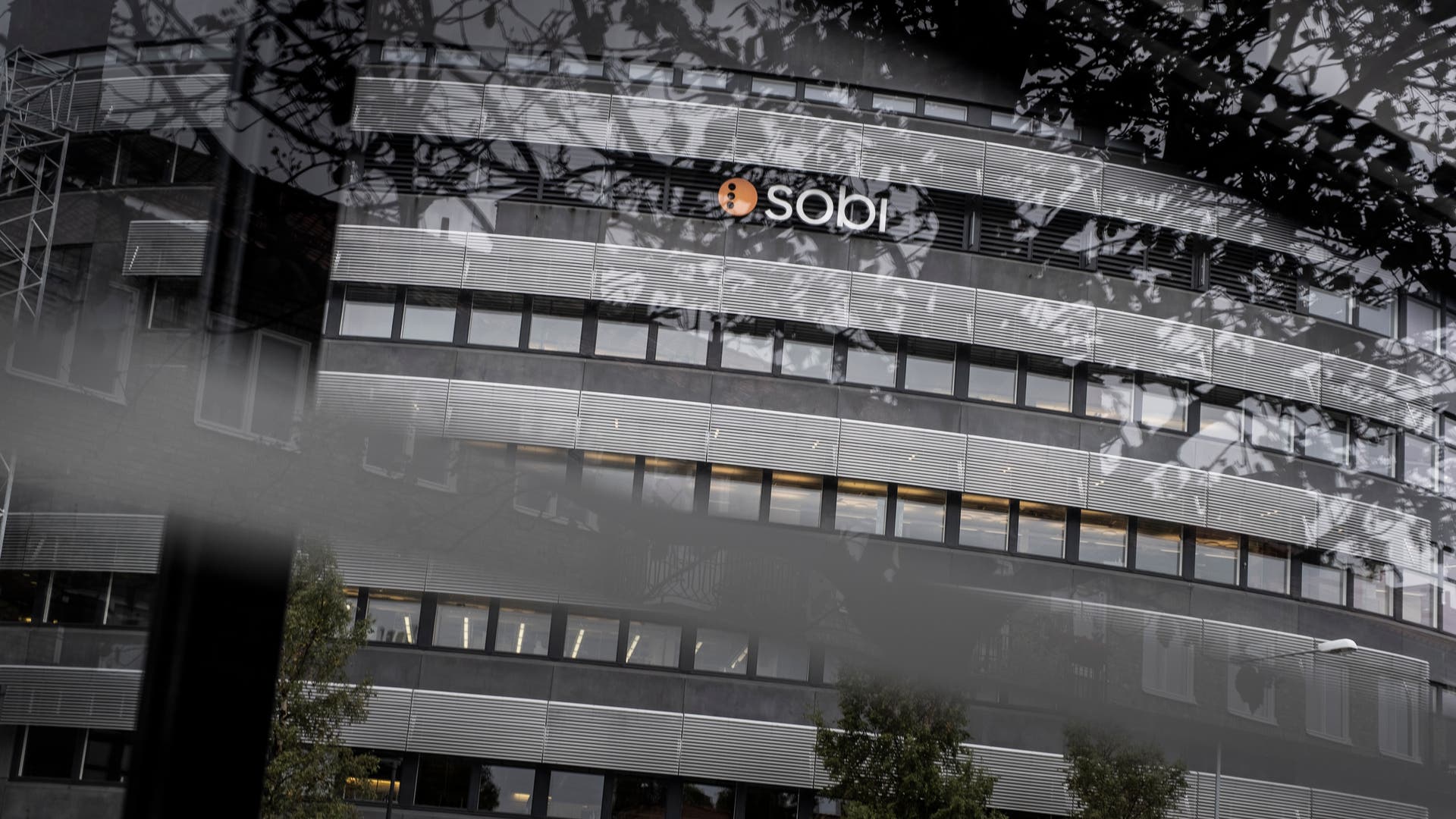 Sobi Saudi Sobi lyfter till ny rekordnivå – vd ser ”betydande tillväxt” | EFN.se