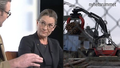 Går skogen åt skogen?