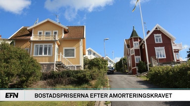 Villapriserna sjunker - hur dramatiskt är det?